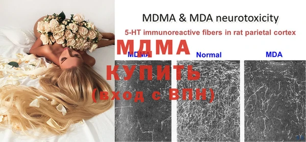 гидра Михайлов