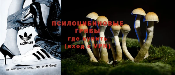 apvp Мегион
