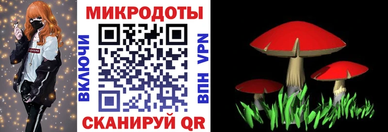 Галлюциногенные грибы Cubensis  Купить где  Усть-Илимск 